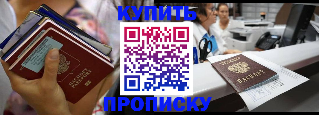 прописка для школы в Бородино
